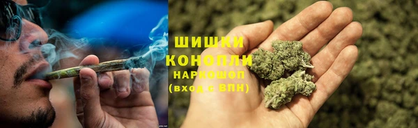 марки lsd Белокуриха
