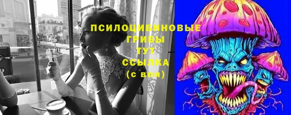 марки lsd Белокуриха
