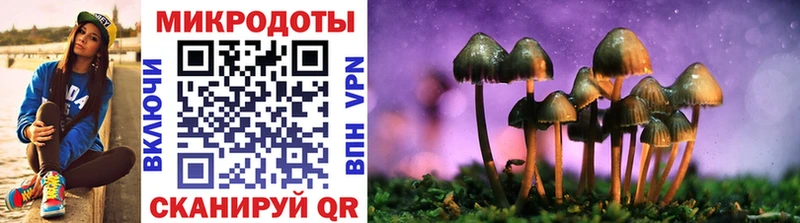 Псилоцибиновые грибы мицелий Купить где Ливны